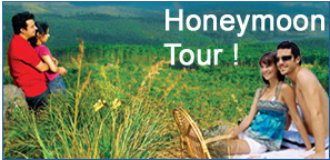 Honeymoon Tour